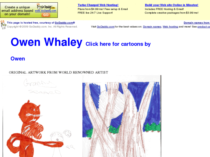 www.owenwhaley.com