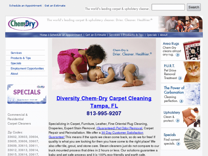 www.tampa-fl-carpet-rug-cleaning.com