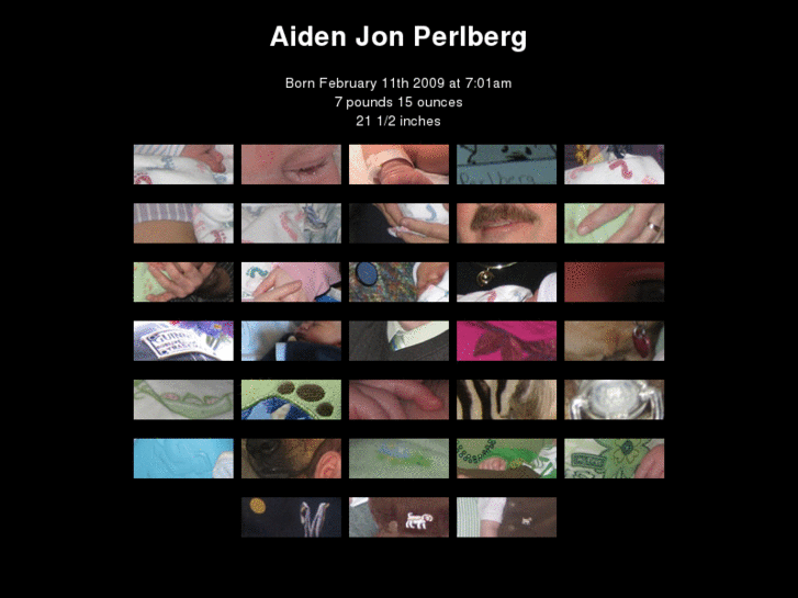 www.aidenperlberg.com