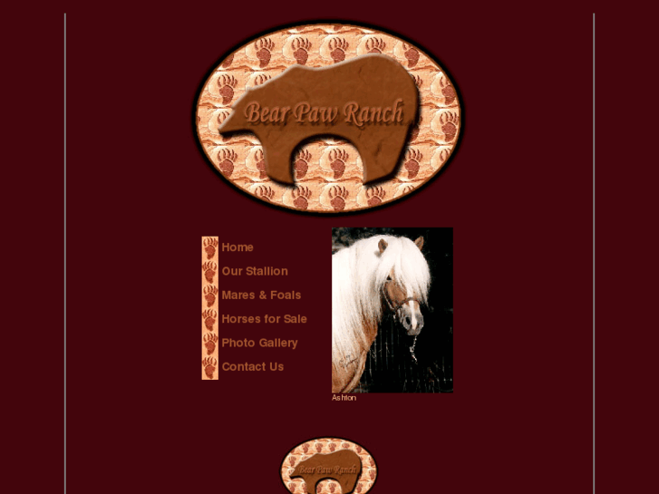 www.bearpawhaflingerhorses.com