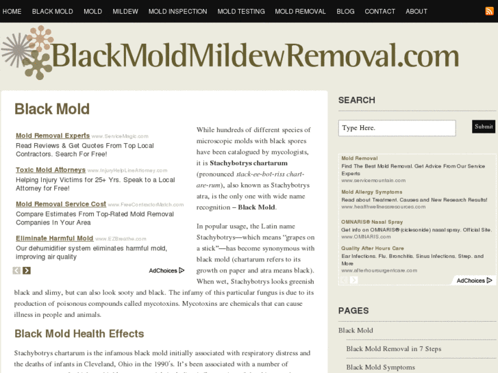 www.blackmoldmildewremoval.com