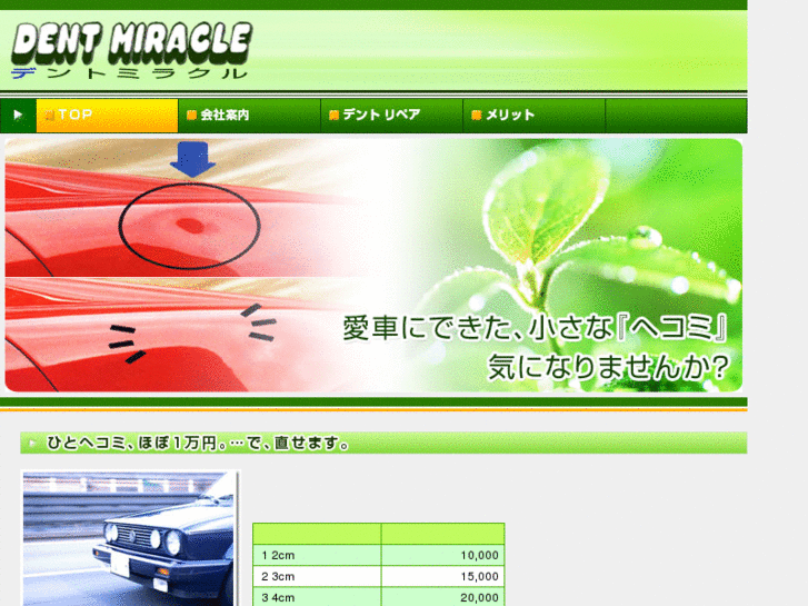 www.dent-miracle.com