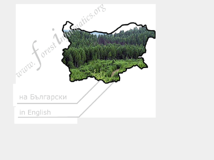 www.e-forestinformatics.org