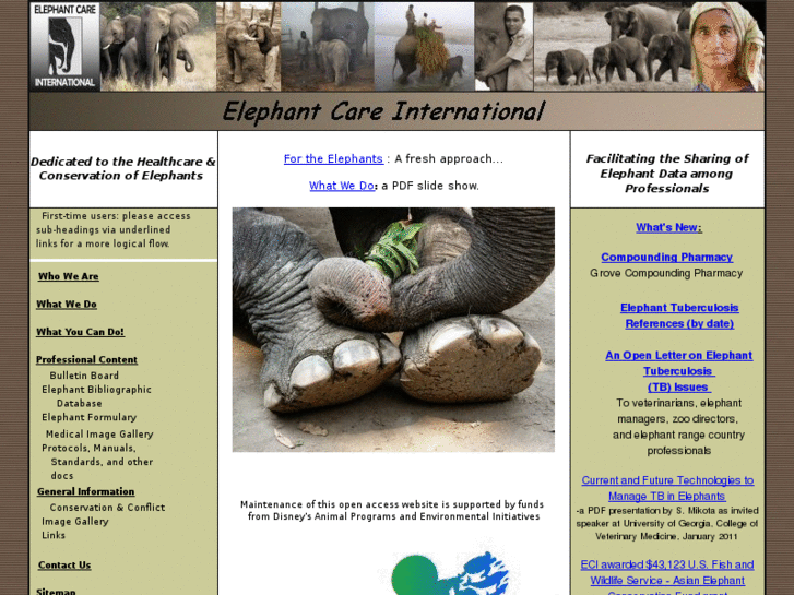 www.elephantcare.org