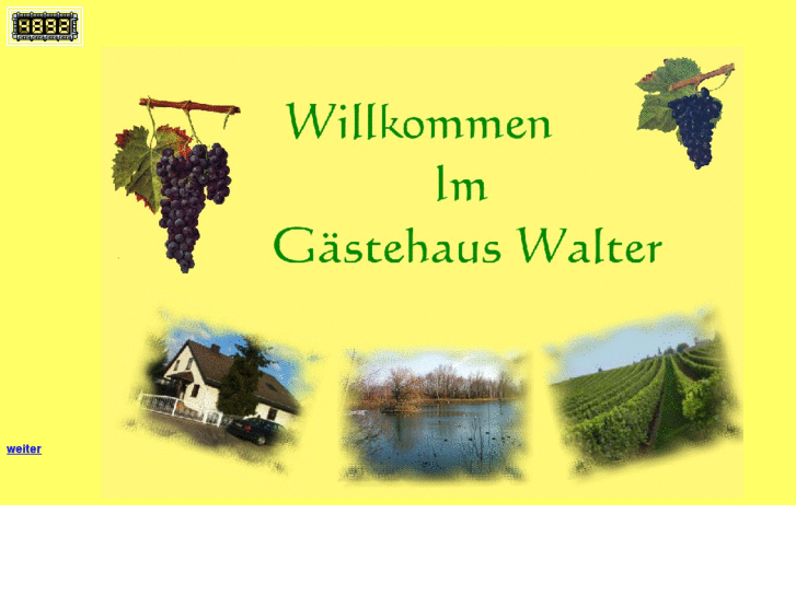 www.gaestehaus-walter-offenbach.info