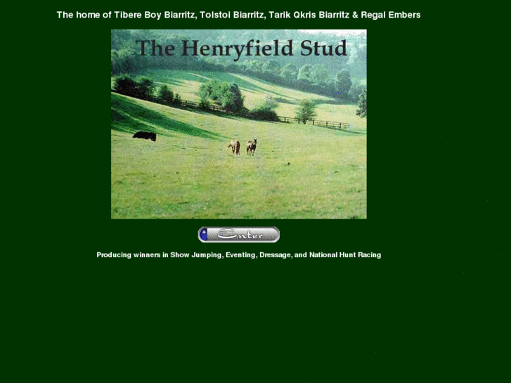 www.henryfieldsstud.com