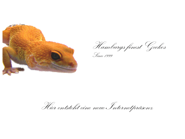 www.leopardgeckos.info
