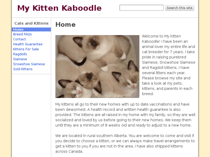 www.mykittenkaboodle.com