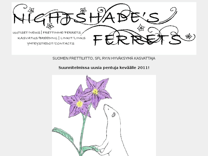 www.nightshadesferrets.com