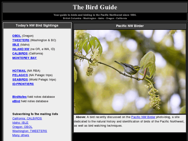 www.thebirdguide.com