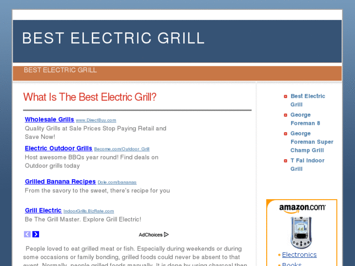 www.bestelectricgrill.net