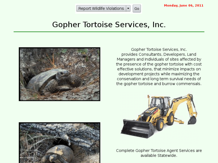 www.gophertortoise.org