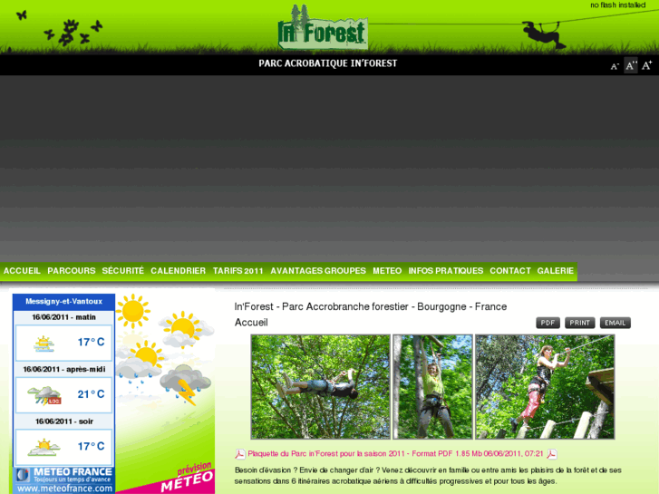 www.inforest21.com