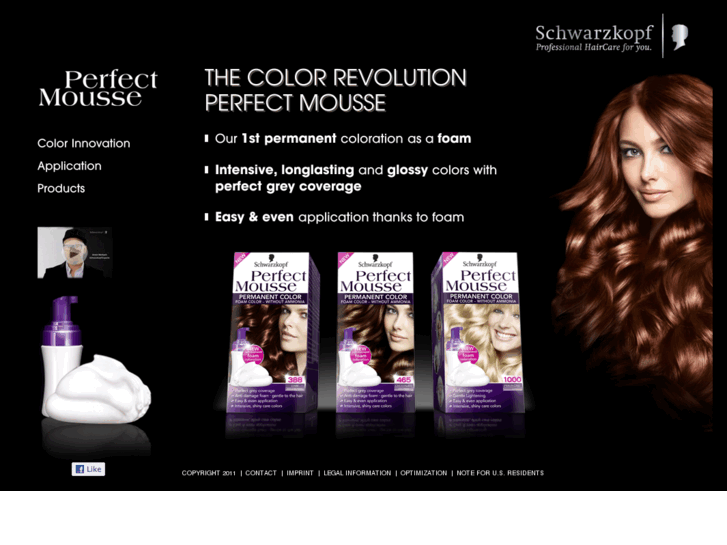 www.perfectmousse.com