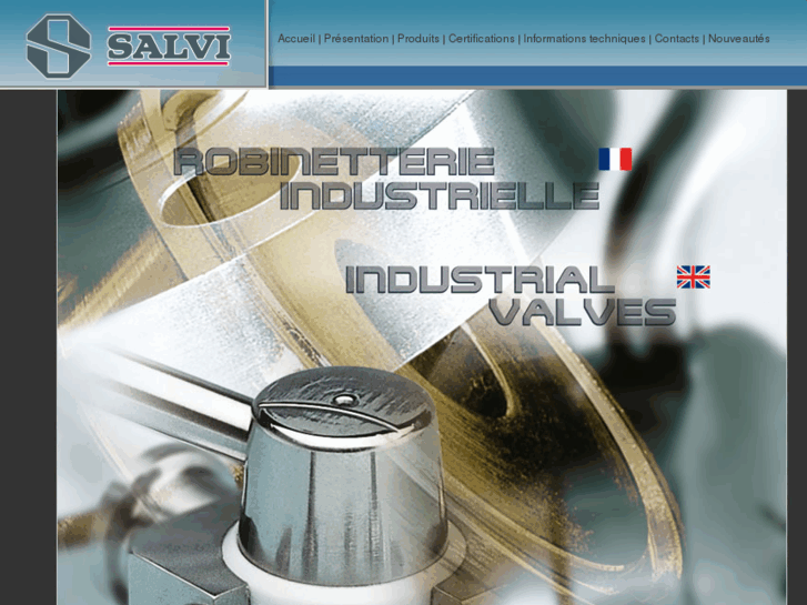 www.salvi-valves.com