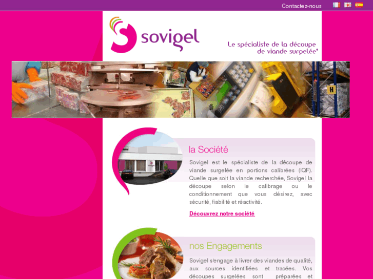 www.sovigel.com