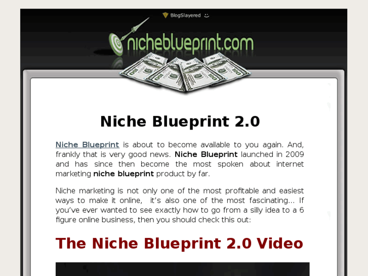 www.the-nicheblueprint.com