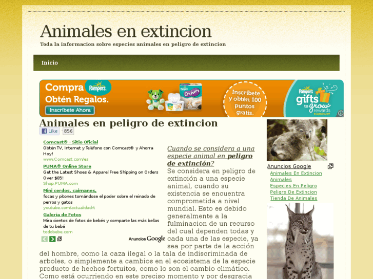 www.animalesenextincion.info