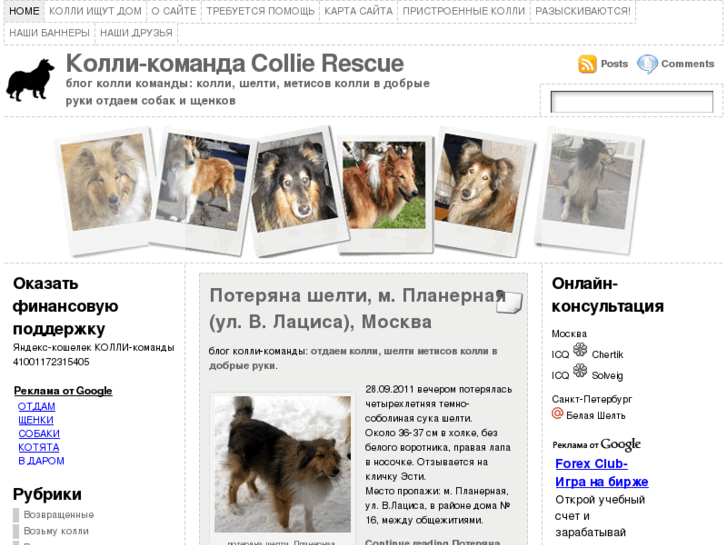 www.collierescue.ru