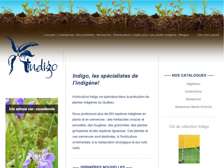 www.horticulture-indigo.com