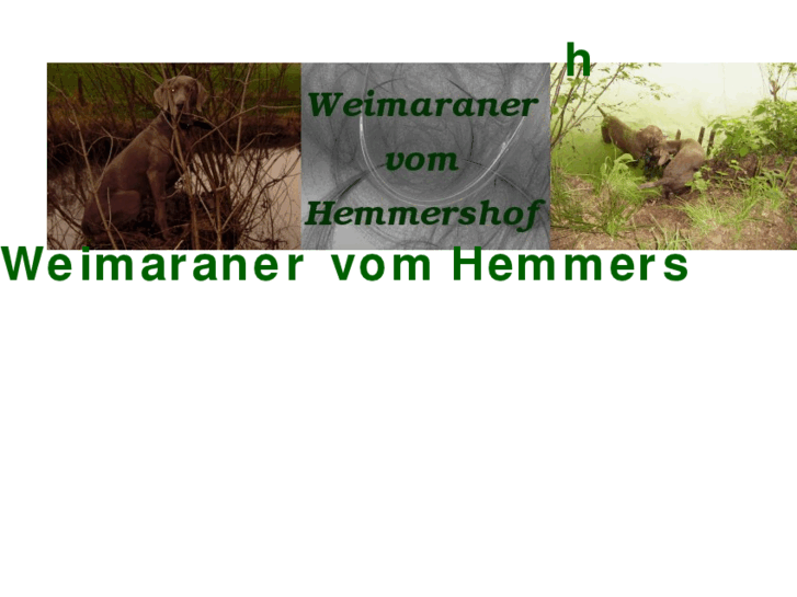 www.weimaraner-shop.de