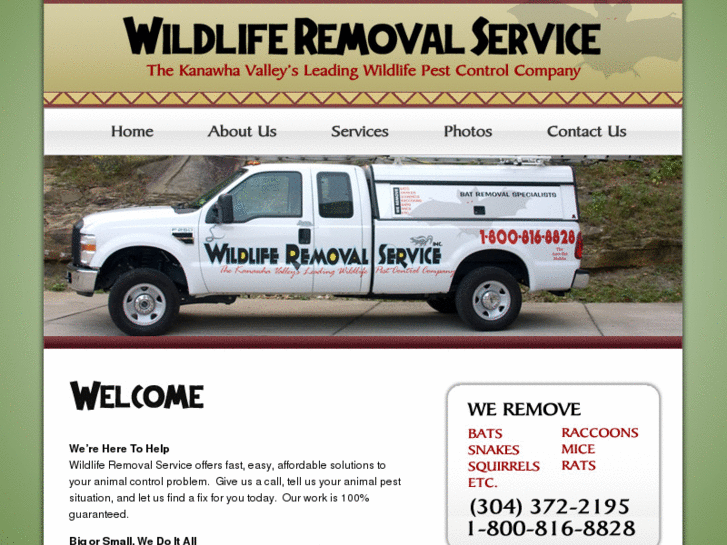 www.wvwildliferemoval.com