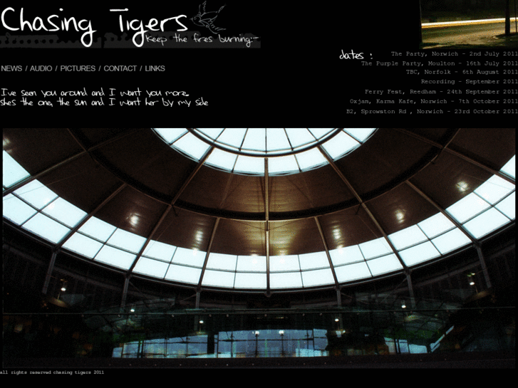 www.chasingtigers.co.uk