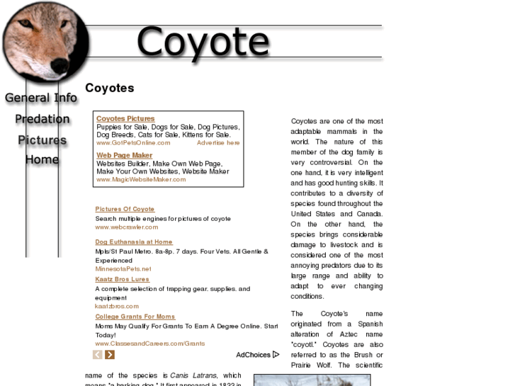 www.coyotes-coyotes.com