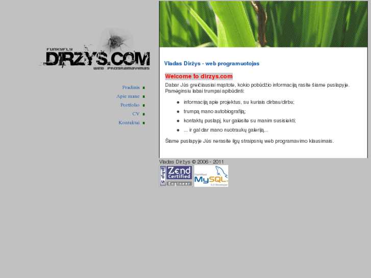 www.dirzys.com