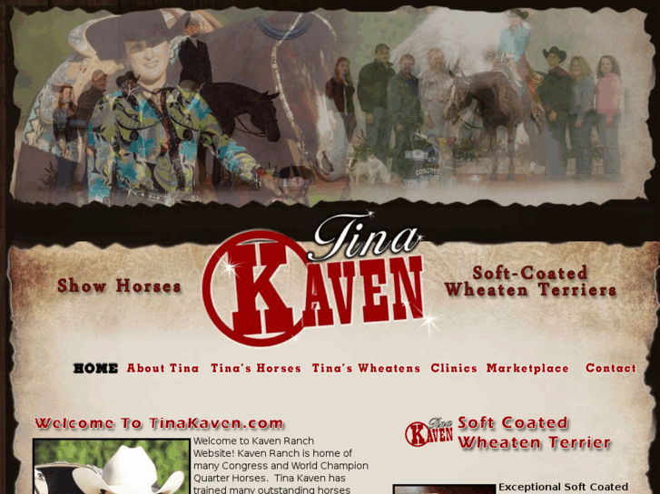 www.kavenquarterhorses.com