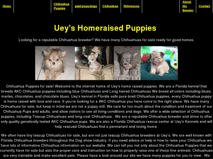 www.ueyshomeraisedpuppies.com