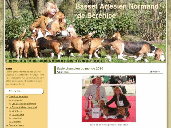 www.bassetartesiennormand.fr