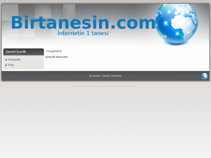 www.birtanesin.com