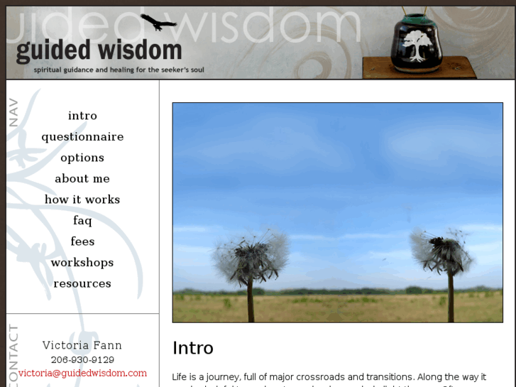 www.guidedwisdom.com