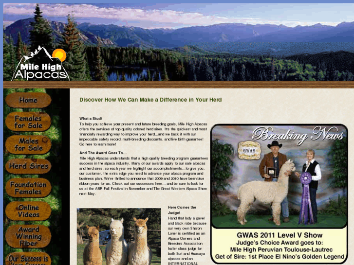 www.milehighalpacas.com