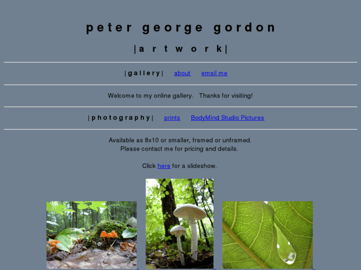 www.petergeorgegordon.com