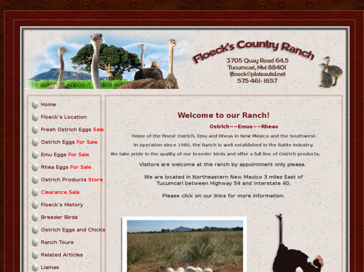 www.floeckscountry.com