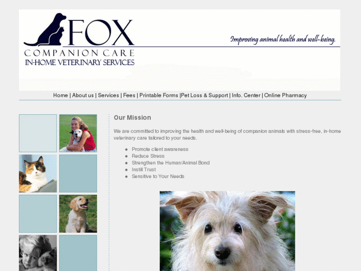 www.foxcompanioncare.com