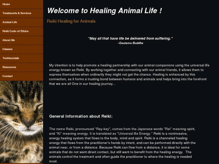 www.healinganimallife.com