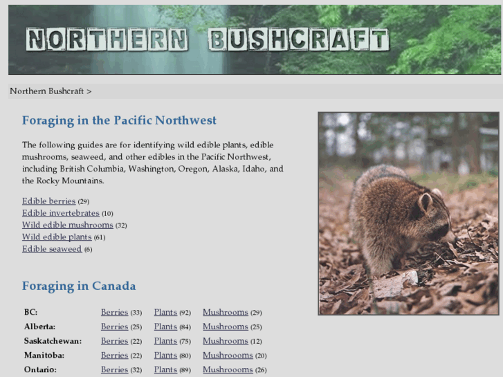 www.northernbushcraft.com