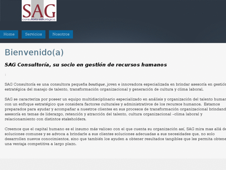 www.sagconsultoria.com