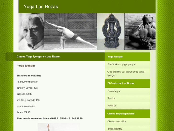 www.yogalasrozas.net