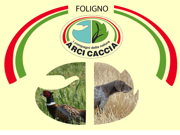 www.arcicacciafoligno.org