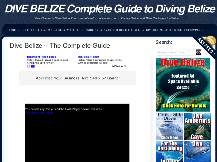 www.divebelize.com