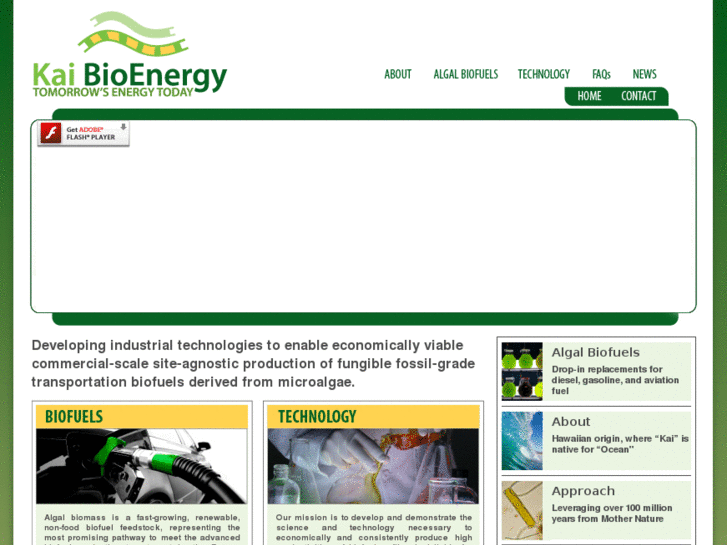 www.kaibioenergy.com