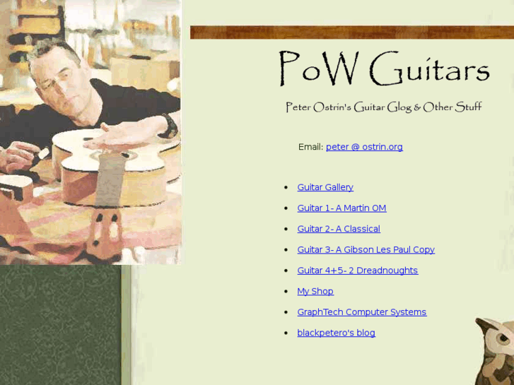 www.powguitars.com