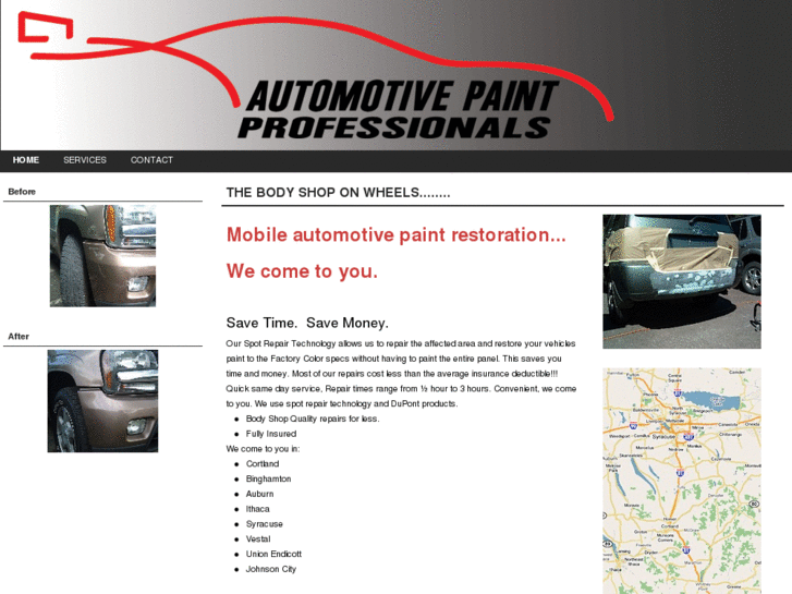 www.theautopaintpros.com