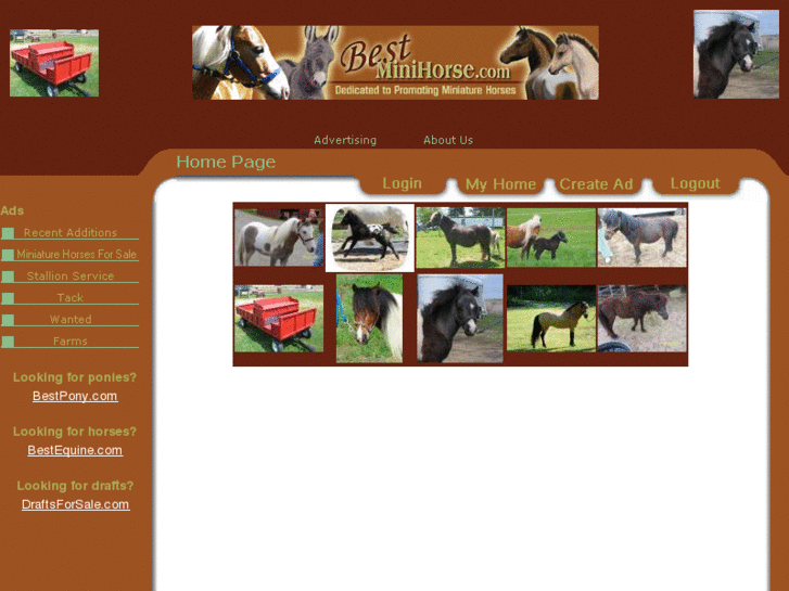 www.bestminiaturehorse.com