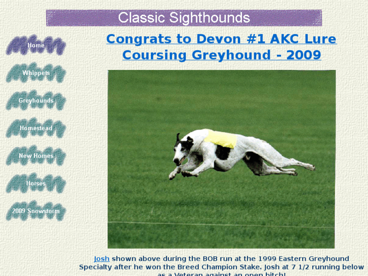 www.classicsighthounds.com