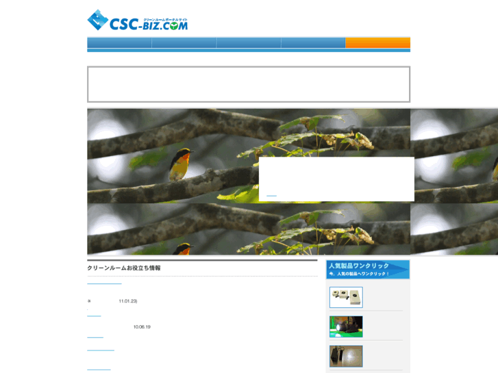 www.csc-biz.com